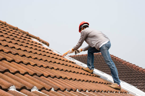 Best Roofing for New Construction  in Fort Davis, TX