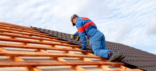 Best Solar Panel Roofing Installation  in Fort Davis, TX