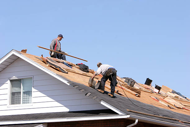 Best Sheet Metal Roofing  in Fort Davis, TX