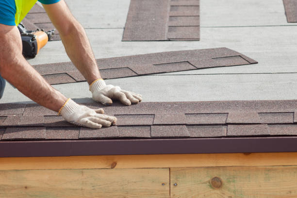 Best Asphalt Shingle Roofing  in Fort Davis, TX