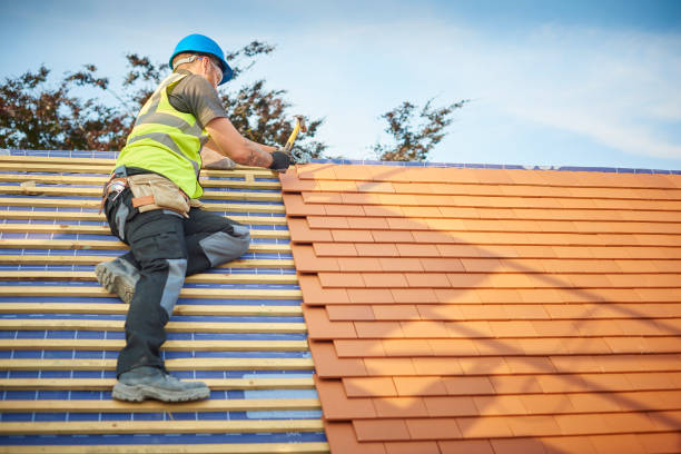 Best Roof Ventilation Installation  in Fort Davis, TX